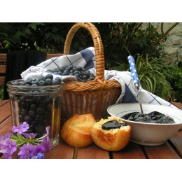 Myrtilles pour Marissou