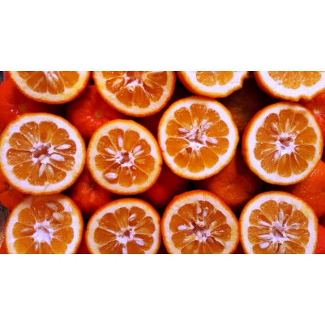 My Dundee Marmelade