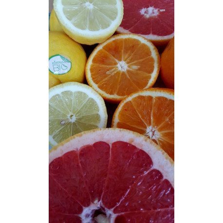 "Sevilla - Calabria" : Oranges et Bergamote
