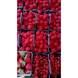 Comme un Printemps... Fraises-Framboises-Cerises
