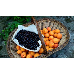 Le Pot de Julien : Abricots-Cassis