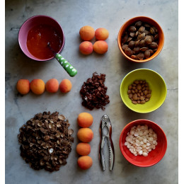 Abricots à l'ancienne